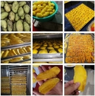 Heat Pump Dryer for drying mango