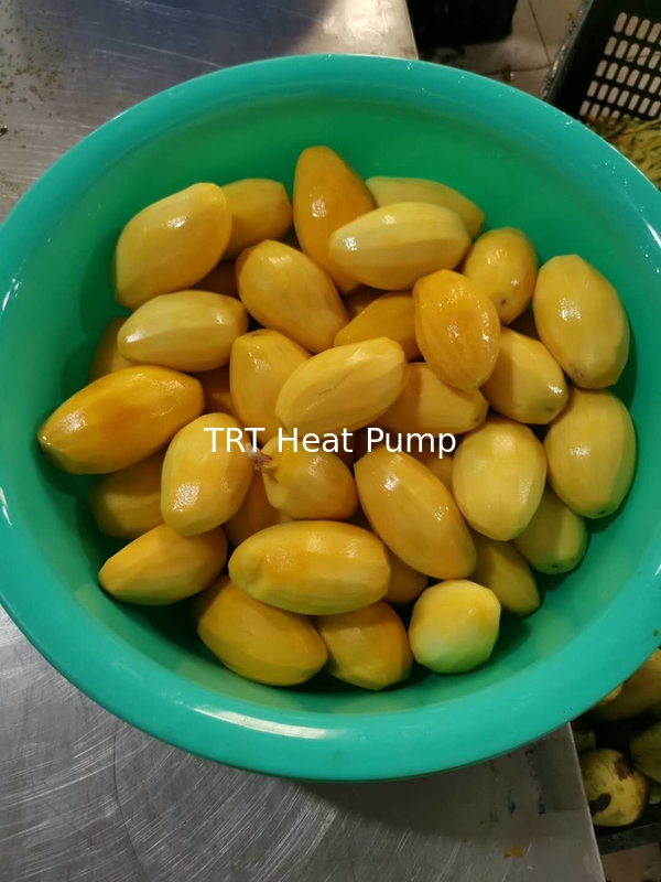 Heat Pump Dryer for drying mango